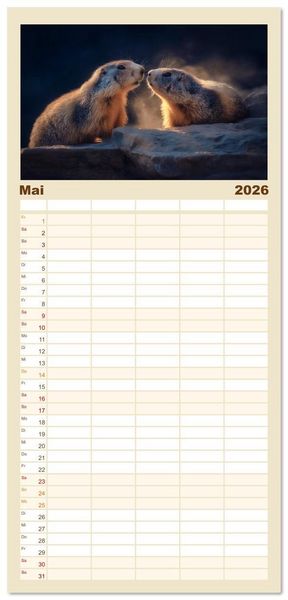 Produktbild: Familienplaner 2026 - Alpenpl&uuml;sch - Mit Murmeltieren durchs Jahr mit 5 Spalten (Wandkalender, 21 x 45 cm) CALVENDO