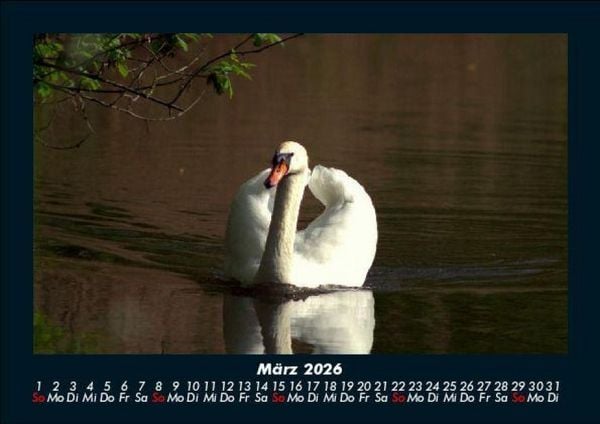 Produktbild: Welt der V&ouml;gel 2026 Fotokalender DIN A5