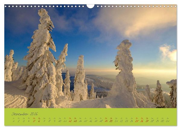 Produktbild: Der Bayerische Wald (Wandkalender 2026 DIN A3 quer), CALVENDO Monatskalender