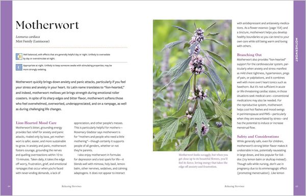 Produktbild: Herbal Remedies for Sleep