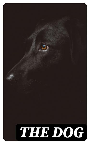 Produktbild: The Dog