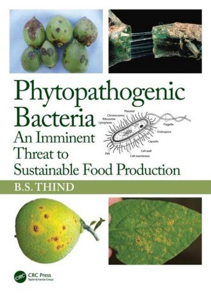 Produktbild: Phytopathogenic Bacteria