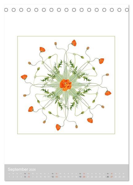Produktbild: Pflanzen - Mandalas aus Bl&uuml;ten und Bl&auml;ttern (Tischkalender 2026 DIN A5 hoch), CALVENDO Monatskalender