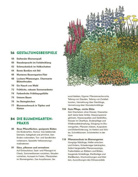 Produktbild: Das gro&szlig;e Buch der Stauden und Sommerblumen