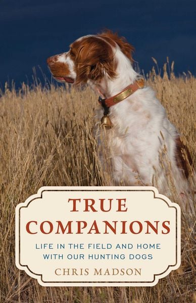 Produktbild: True Companions
