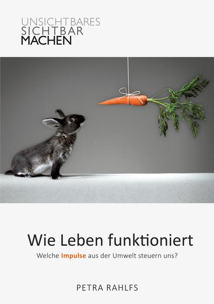 Produktbild: Wie Leben funktioniert