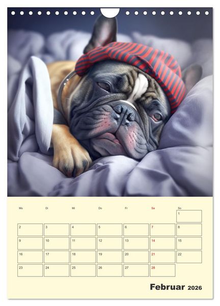 Produktbild: Lustige Flederm&auml;use. Franz&ouml;sische Bulldoggen bei der Freizeitgestaltung (Wandkalender 2026 DIN A4 hoch), CALVENDO Monatskalender