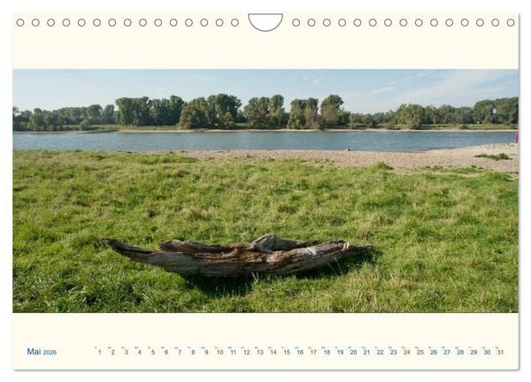 Produktbild: Am Rhein - Urdenbacher K&auml;mpe (Wandkalender 2026 DIN A4 quer), CALVENDO Monatskalender