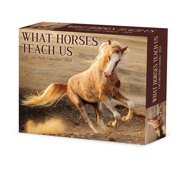 Produktbild: Willow Creek Press: What Horses Teach Us 2024 6.2 X 5.4 Box