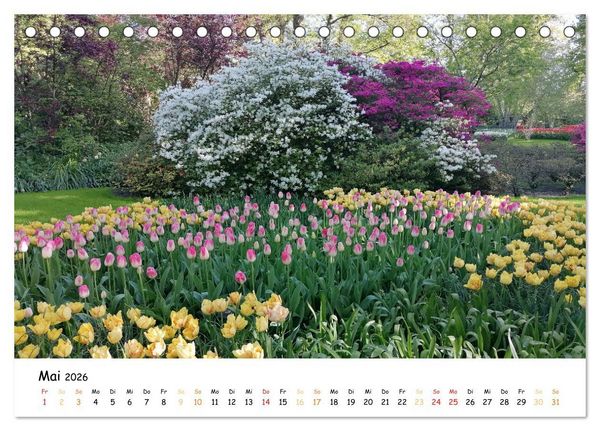 Produktbild: Auf Tour im Land der Tulpen (Tischkalender 2026 DIN A5 quer), CALVENDO Monatskalender