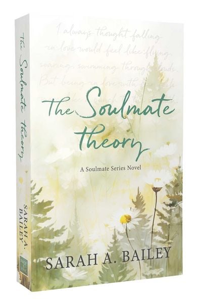 Produktbild: The Soulmate Theory