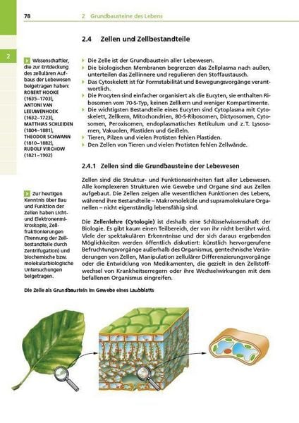 Produktbild: Basiswissen Schule &ndash; Biologie Abi