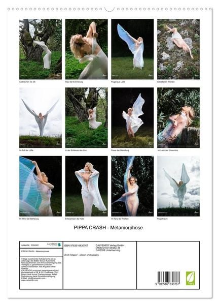 Produktbild: PIPPA CRASH - Metamorphose (hochwertiger Premium Wandkalender 2027 DIN A2 hoch), Kunstdruck in Hochglanz