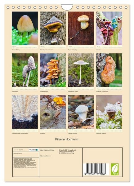 Produktbild: Pilze in Hochform (Wandkalender 2026 DIN A4 hoch), CALVENDO Monatskalender