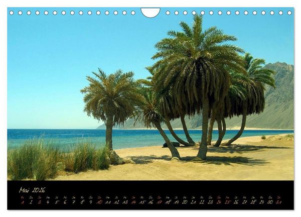 Produktbild: &Auml;gypten - Eine Entdeckungsreise (Wandkalender 2026 DIN A4 quer), CALVENDO Monatskalender