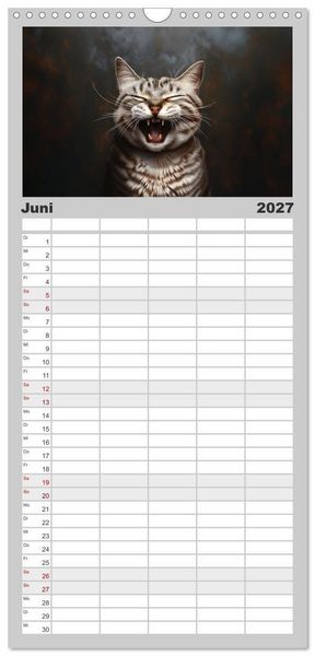 Produktbild: Familienplaner 2027 - Auch Katzen lachen gern mit 5 Spalten (Wandkalender, 21 x 45 cm) CALVENDO