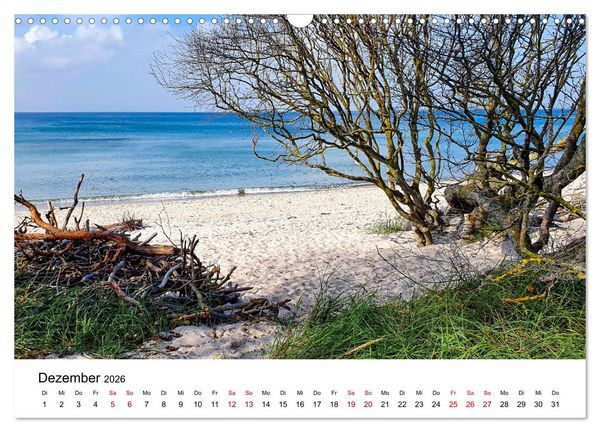 Produktbild: Fischland-Dar&szlig;-Zingst - Traumhafte Ostseelandschaften (Wandkalender 2026 DIN A3 quer), CALVENDO Monatskalender