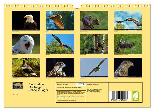 Produktbild: Faszination Greifv&ouml;gel Schnelle J&auml;ger (Wandkalender 2026 DIN A4 quer), CALVENDO Monatskalender