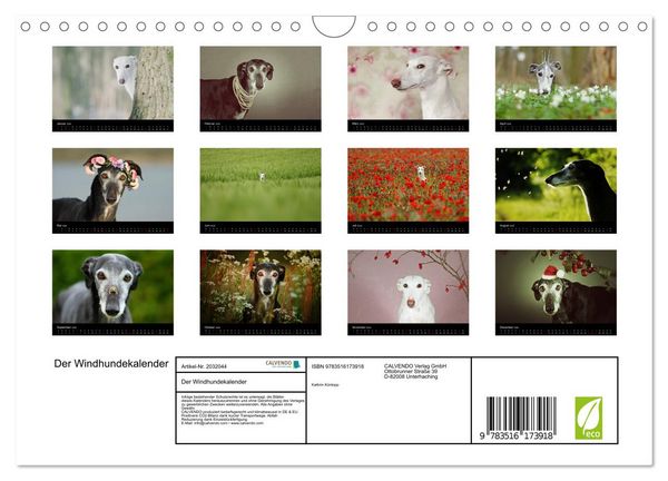 Produktbild: Der Windhundekalender (Wandkalender 2026 DIN A4 quer), CALVENDO Monatskalender