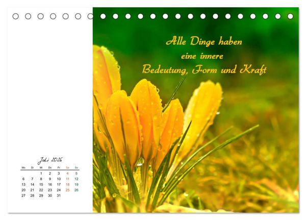 Produktbild: Innehalten in der Natur ... mit Weisheiten und Sprichworten der Indianer (Tischkalender 2026 DIN A5 quer), CALVENDO Monatskalender