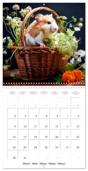 Produktbild: Sweet HAMSTERS (Wall Calendar 2026 12 &times; 12 Inch) CALVENDO 12 Month Wall Calendar