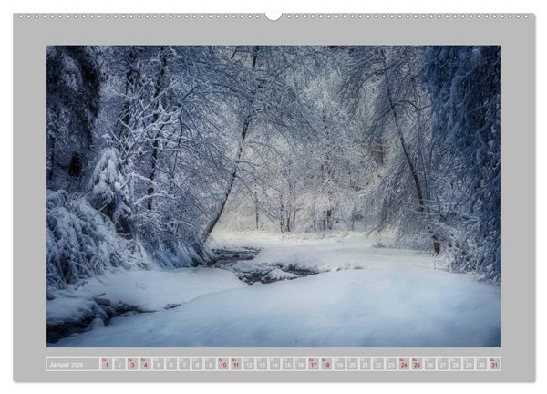 Produktbild: Wald im Licht (Wandkalender 2026 DIN A2 quer), CALVENDO Monatskalender