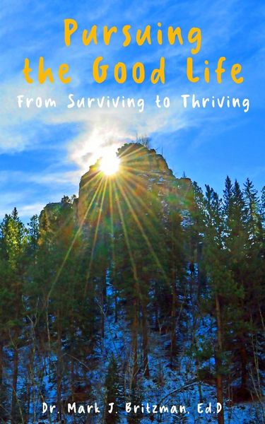 Produktbild: Pursuing the Good Life