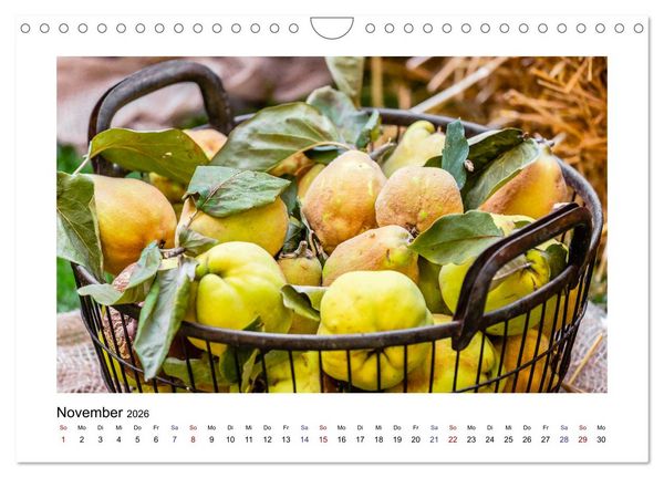 Produktbild: Wochenmarkt - Genussvoll Einkaufen (Wandkalender 2026 DIN A4 quer), CALVENDO Monatskalender
