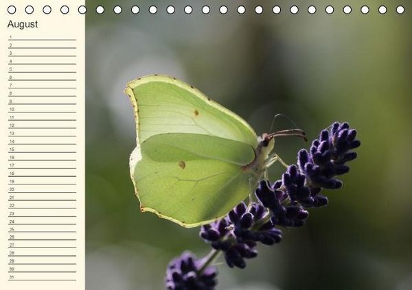 Produktbild: Geburtstagskalender "Nette Kleinigkeiten" (Tischkalender immerw&auml;hrend DIN A5 quer)