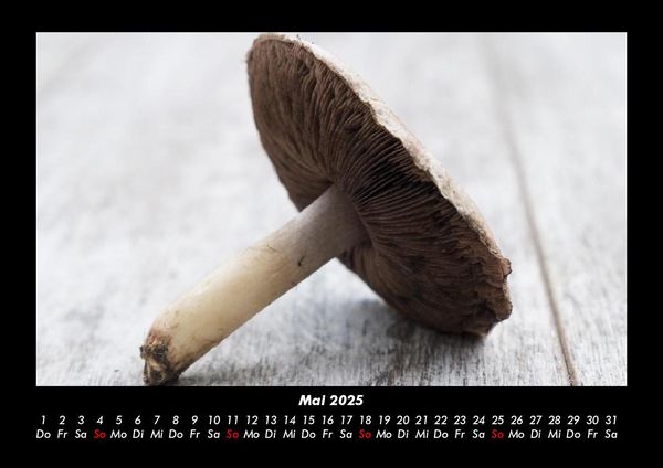 Produktbild: Pilzkalender 2025 Fotokalender DIN A3