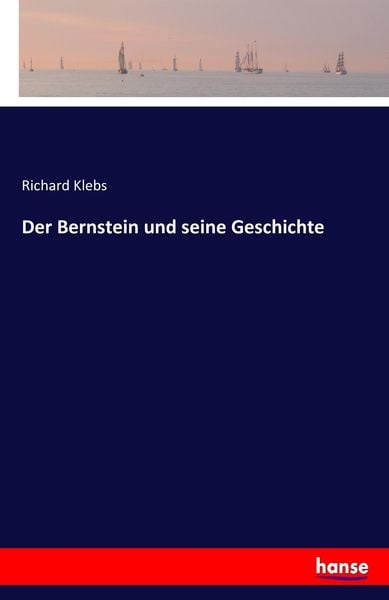 Produktbild: Der Bernstein und seine Geschichte