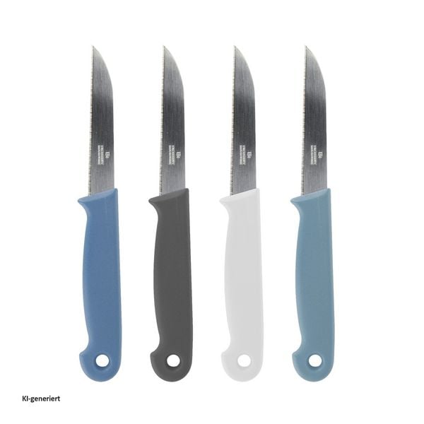 Produktbild: neuetischkultur Gem&uuml;semesser-Set, 4-teilig farbig Gem&uuml;semesser-Set, 4-teilig farbig