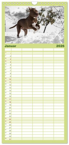 Produktbild: Familienplaner 2026 - American Staff und Co. mit 5 Spalten (Wandkalender, 21 x 45 cm) CALVENDO