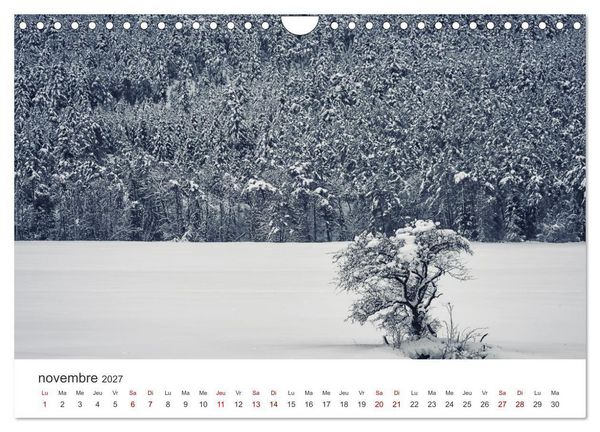 Produktbild: Visite de la France (Calendrier mural 2027 DIN A4 vertical), CALVENDO calendrier mensuel