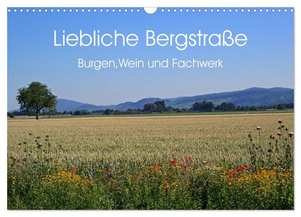 Liebliche Bergstraße - Burgen, Wein und Fachwerk (Wandkalender 2025 DIN A3 quer), CALVENDO Monatskalender