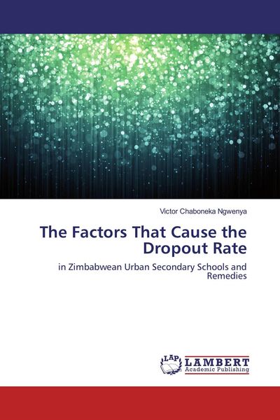 Produktbild: The Factors That Cause the Dropout Rate