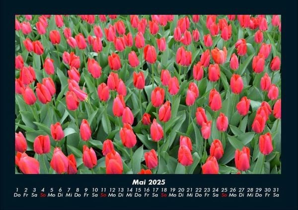 Produktbild: Blumenzauber 2025 Fotokalender DIN A4
