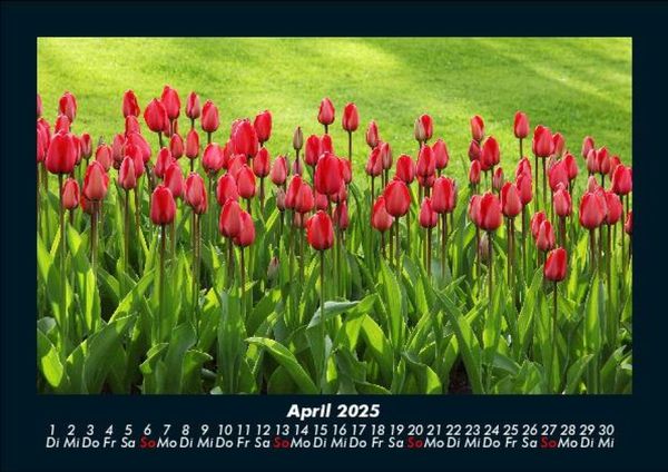 Produktbild: Blumenzauber 2025 Fotokalender DIN A5