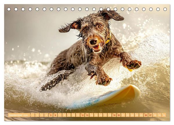 Produktbild: Lustige Sportarten f&uuml;r Hunde (Tischkalender 2026 DIN A5 quer), CALVENDO Monatskalender