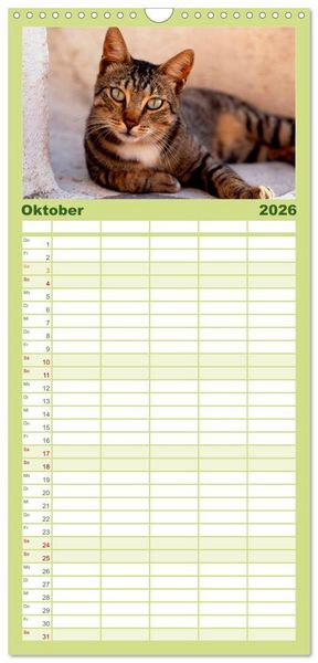 Produktbild: Familienplaner 2026 - Katzen mit 5 Spalten (Wandkalender, 21 x 45 cm) CALVENDO