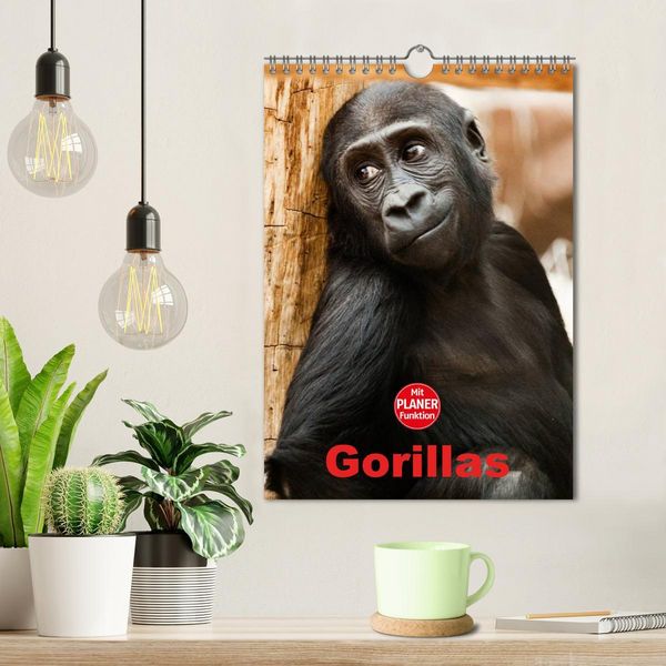 Produktbild: Gorillas (Wandkalender 2026 DIN A4 hoch), CALVENDO Monatskalender