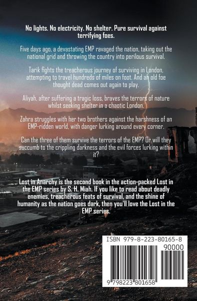 Produktbild: Lost in Anarchy