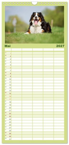 Produktbild: Familienplaner 2027 - Berner Sennenhunde mit 5 Spalten (Wandkalender, 21 x 45 cm) CALVENDO