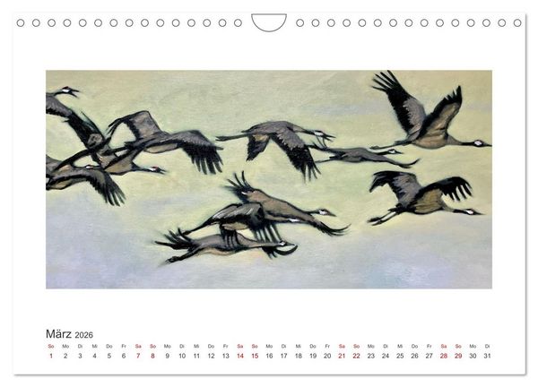 Produktbild: Auf leichten Schwingen - Zugv&ouml;gel (Wandkalender 2026 DIN A4 quer), CALVENDO Monatskalender