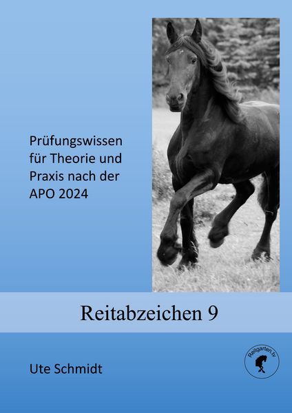 Produktbild: Reitabzeichen 9