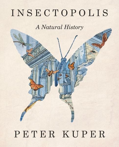 Produktbild: Insectopolis