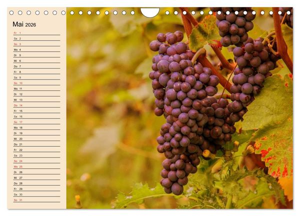Produktbild: Weinanbau. Von der Traube zum Wein (Wandkalender 2026 DIN A4 quer), CALVENDO Monatskalender