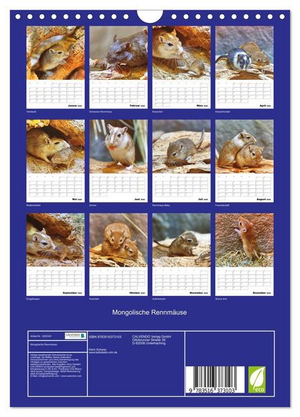 Produktbild: Mongolische Rennm&auml;use (Wandkalender 2026 DIN A4 hoch), CALVENDO Monatskalender
