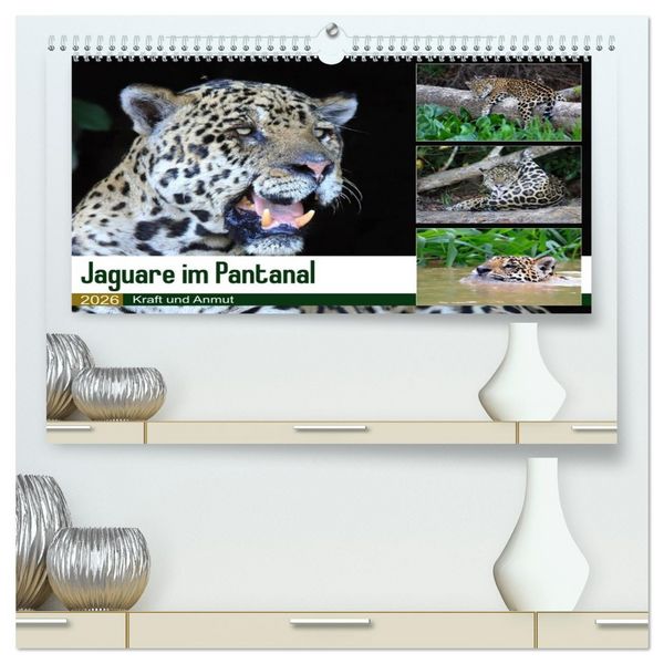 Produktbild: Jaguare im Pantanal (hochwertiger Premium Wandkalender 2026 DIN A2 quer), Kunstdruck in Hochglanz