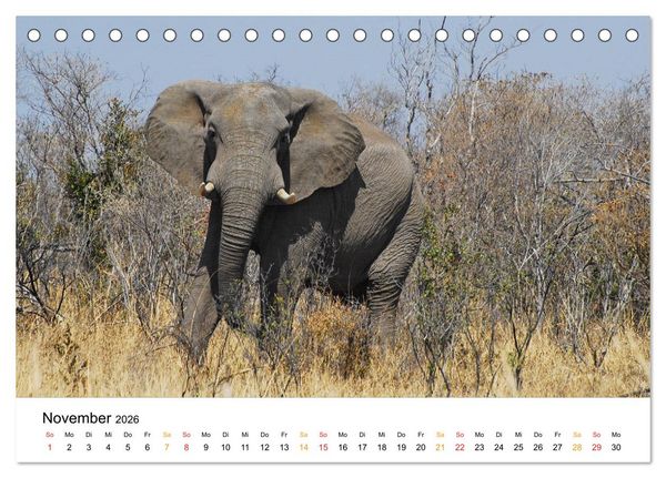 Produktbild: Elefanten Impressionen (Tischkalender 2026 DIN A5 quer), CALVENDO Monatskalender